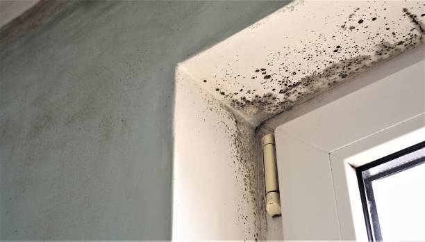 Best Indoor Air Quality Assessment  in Milford, DE