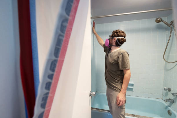 Best Biohazard Mold Removal  in Milford, DE