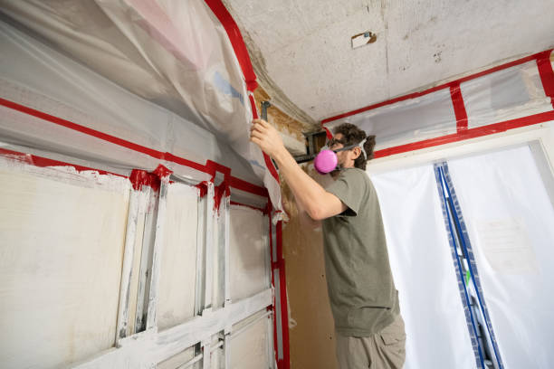 Best Forensic Mold Investigation  in Milford, DE