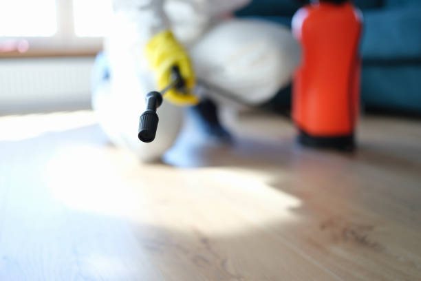 Best Emergency Mold Remediation  in Milford, DE